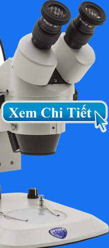 Kính hiển vi soi nổi